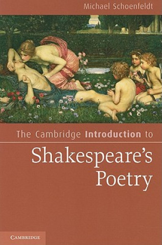 Kniha Cambridge Introduction to Shakespeare's Poetry Michael Schoenfeldt