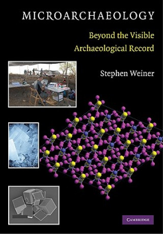 Buch Microarchaeology Stephen Weiner