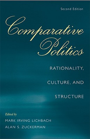 Könyv Comparative Politics Mark Irving Lichbach
