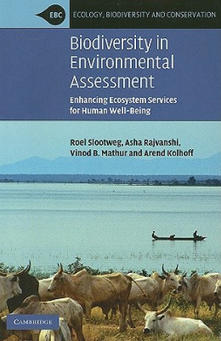 Kniha Biodiversity in Environmental Assessment Roel Slootweg