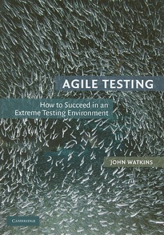 Kniha Agile Testing John Watkins