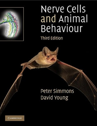 Βιβλίο Nerve Cells and Animal Behaviour Peter J Simmons
