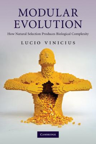 Book Modular Evolution Lucio Vinicius