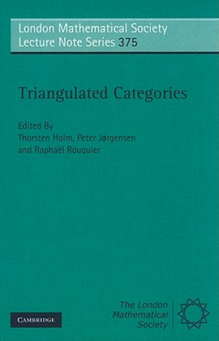 Könyv Triangulated Categories Thorsten Holm