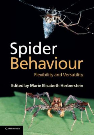 Knjiga Spider Behaviour Marie Elisabeth Herberstein