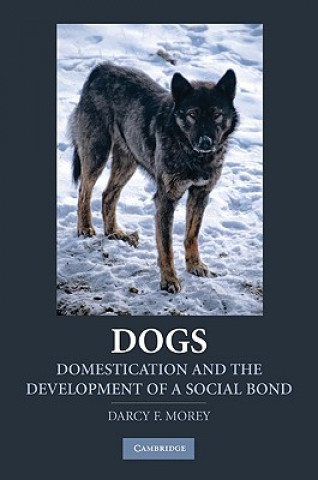 Kniha Dogs Darcy Morey