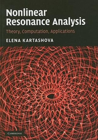 Buch Nonlinear Resonance Analysis Elena Kartashova