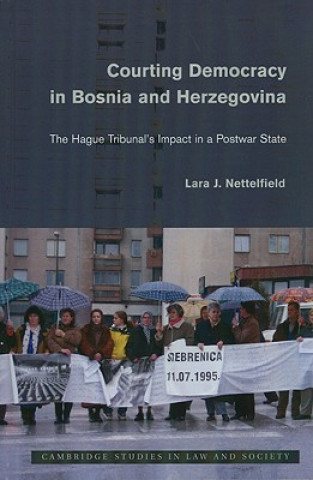 Kniha Courting Democracy in Bosnia and Herzegovina Lara J Nettelfield