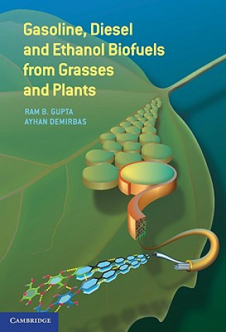 Książka Gasoline, Diesel, and Ethanol Biofuels from Grasses and Plants Ram B Gupta