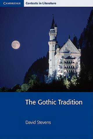 Kniha Gothic Tradition David Stevens