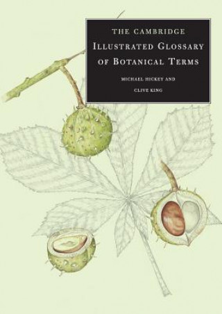 Carte Cambridge Illustrated Glossary of Botanical Terms Michael Hickey