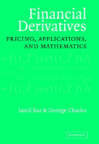 Kniha Financial Derivatives Jamil Baz