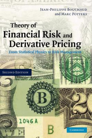 Książka Theory of Financial Risk and Derivative Pricing Jean-Philippe Bouchaud