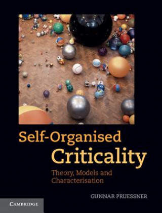 Könyv Self-Organised Criticality Gunnar Pruessner