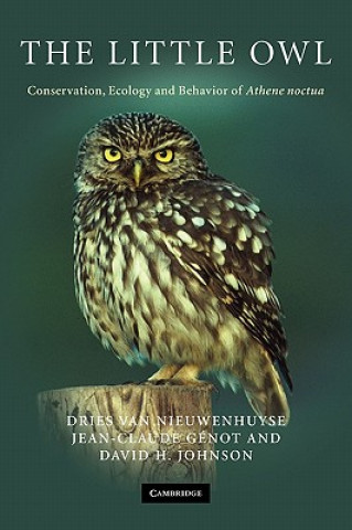 Książka Little Owl Dries Van Nieuwenhuyse