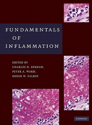 Książka Fundamentals of Inflammation Charles N Serhan