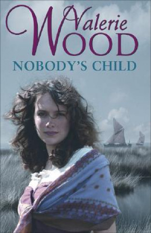 Kniha Nobody's Child Valerie Wood