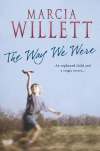 Kniha Way We Were Marcia Willett