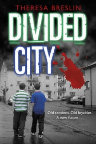 Книга Divided City Theresa Breslin