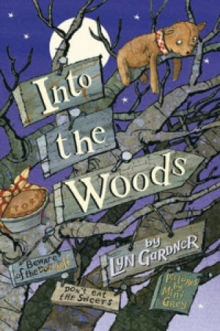 Kniha Into the Woods Lyn Gardner