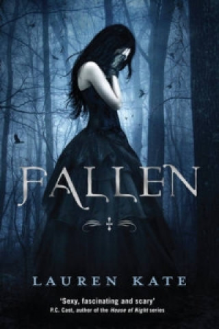Kniha Fallen Lauren Kate