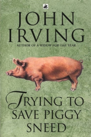 Kniha Trying To Save Piggy Sneed John Irving