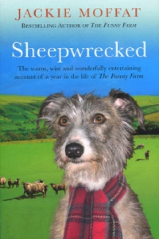 Kniha Sheepwrecked Jackie Moffat