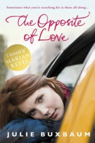 Könyv Opposite Of Love Julie Buxbaum