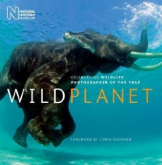 Книга Wild Planet The Natural History Museum