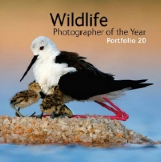 Carte Wildlife Photographer of the Year: Portfolio 20 Rosamund Kidman Cox