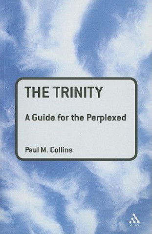 Knjiga Trinity: A Guide for the Perplexed Paul M Collins