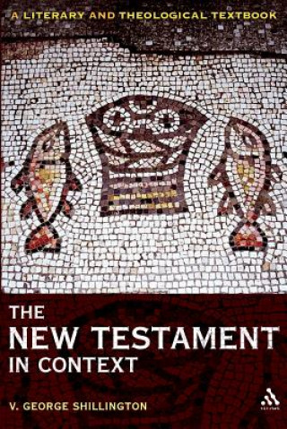 Kniha New Testament in Context Christopher Morse