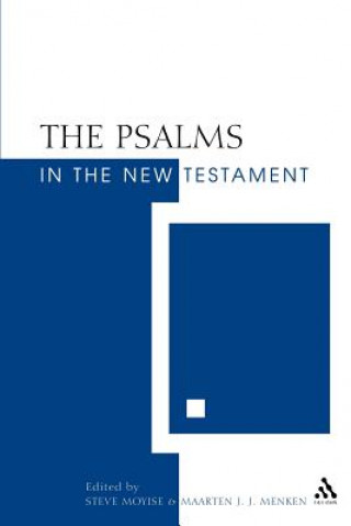 Könyv Psalms in the New Testament Steve Moyise
