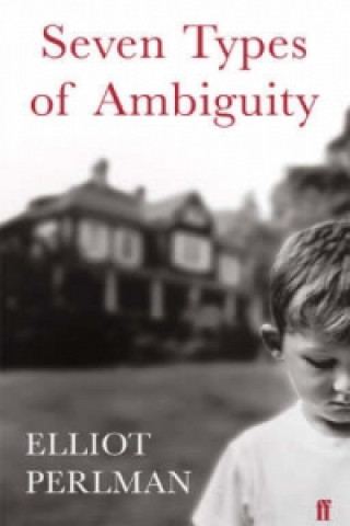 Kniha Seven Types of Ambiguity Elliot Perlman