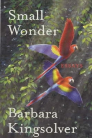 Carte Small Wonder Barbara Kingsolver