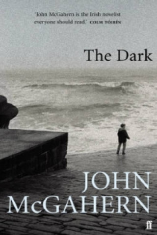 Kniha Dark J Mcgahern