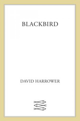 Könyv Blackbird David Harrower