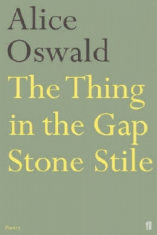 Könyv Thing in the Gap Stone Stile Alice Oswald