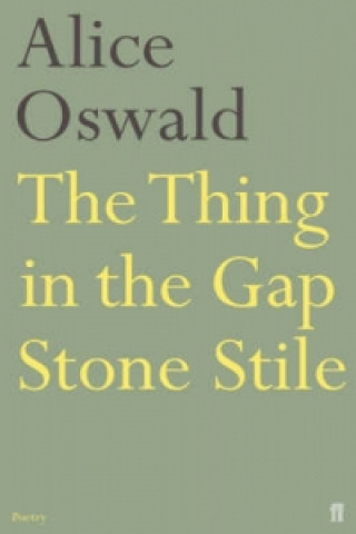 Książka Thing in the Gap Stone Stile Alice Oswald