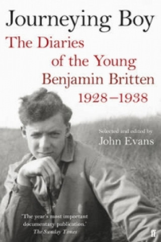 Knjiga Journeying Boy John Evans