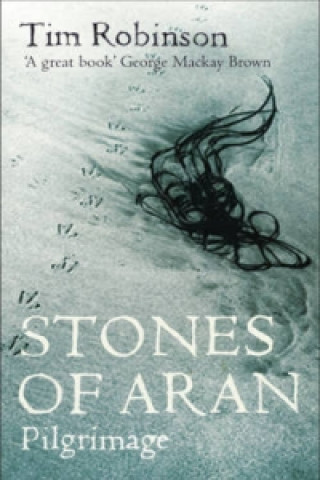 Книга Stones of Aran Tim Robinson
