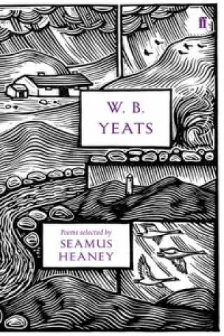 Kniha W. B. Yeats W B Yeats