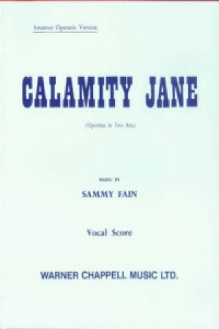 Kniha Calamity Jane P Webster