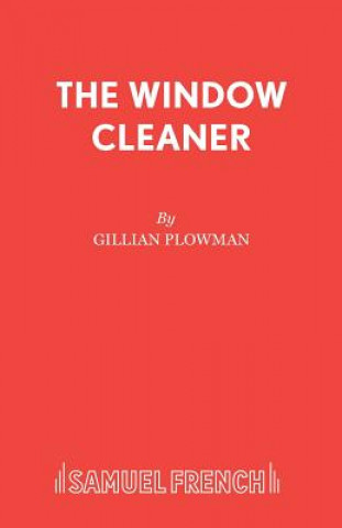 Knjiga Window Cleaner Gillian Plowman