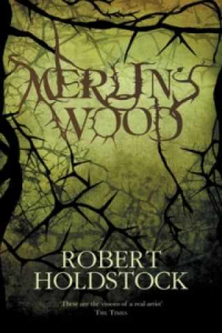 Kniha Merlin's Wood Robert Holdstock