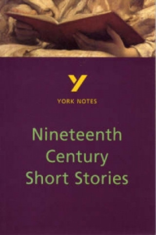 Knjiga Nineteenth Century Short Stories Sarah Rowbotham