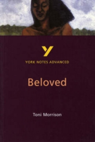 Книга Beloved Toni Morrison