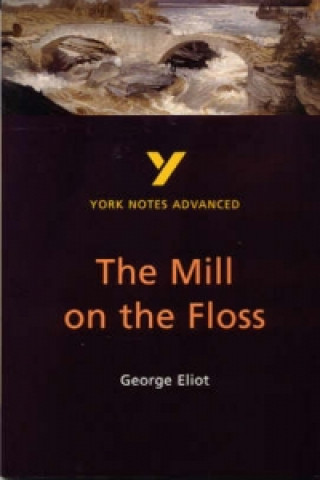 Kniha Mill on the Floss George Eliot