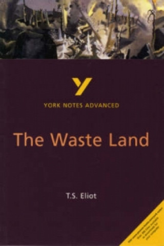 Knjiga Waste Land: York Notes Advanced Alisdair Macrae