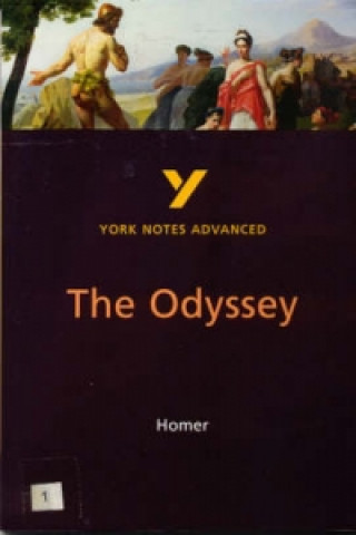 Buch Odyssey: York Notes Advanced Robin Sowerby